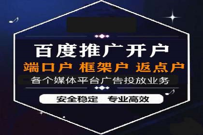 专业SEM代运营公司案例分析